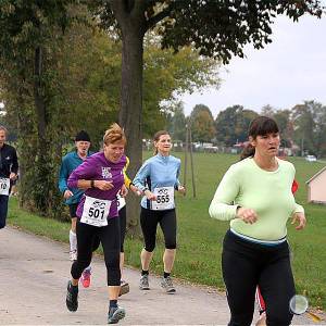 Weisseritztallauf 0066