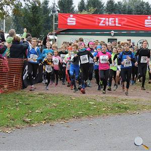 Weisseritztallauf 0081