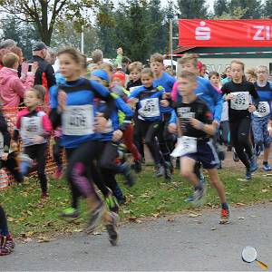 Weisseritztallauf 0084