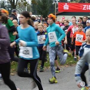 Weisseritztallauf 0086