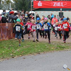 Weisseritztallauf 0105