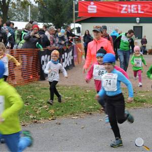 Weisseritztallauf 0108