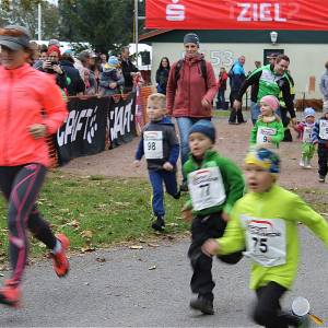 Weisseritztallauf 0109