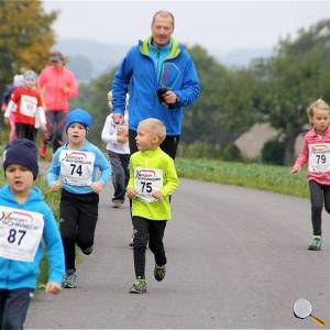 Weisseritztallauf 0201