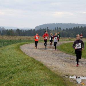 Weisseritztallauf 0205