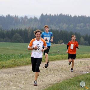 Weisseritztallauf 0218