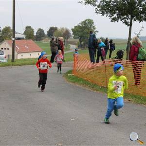 Weisseritztallauf 0267