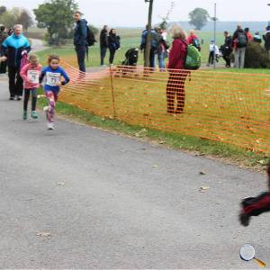 Weisseritztallauf 0268