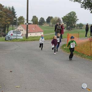 Weisseritztallauf 0272