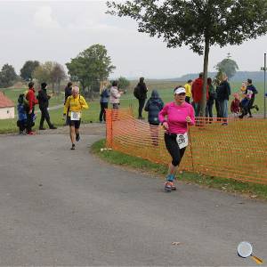 Weisseritztallauf 0360