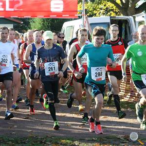 Weisseritztallauf 2017 009