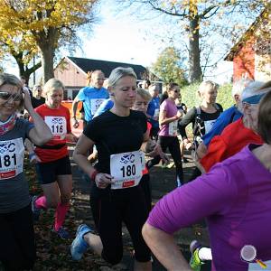 Weisseritztallauf 2017 025