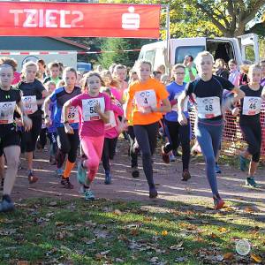 Weisseritztallauf 2017 038