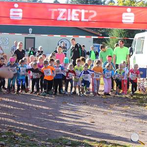 Weisseritztallauf 2017 040