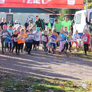 Weisseritztallauf 2017 041