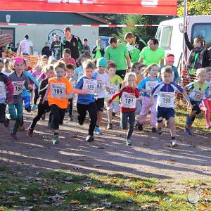 Weisseritztallauf 2017 042