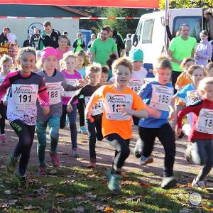 Weisseritztallauf 2017 043