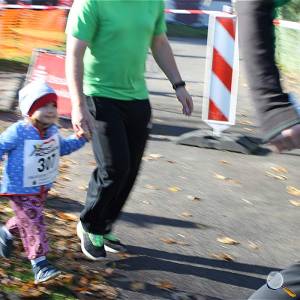 Weisseritztallauf 2017 045