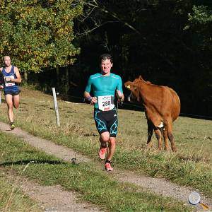 Weisseritztallauf 2017 050