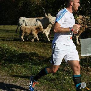 Weisseritztallauf 2017 075