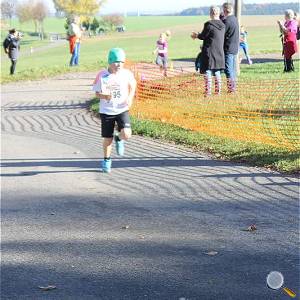 Weisseritztallauf 2017 137