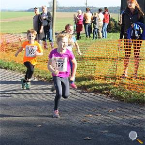 Weisseritztallauf 2017 138