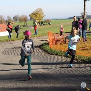 Weisseritztallauf 2017 139