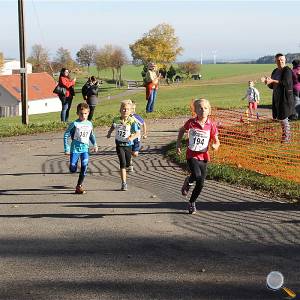 Weisseritztallauf 2017 140