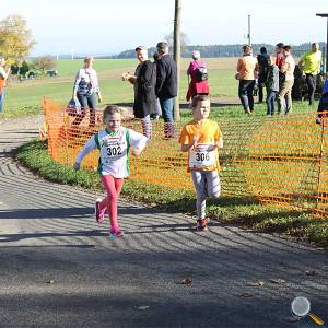 Weisseritztallauf 2017 141