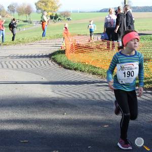 Weisseritztallauf 2017 142