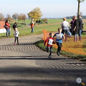 Weisseritztallauf 2017 143