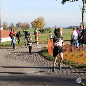 Weisseritztallauf 2017 145