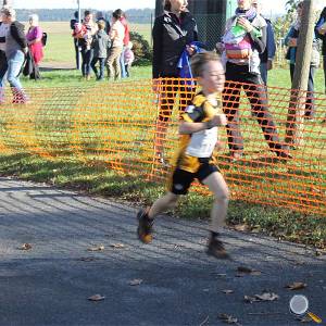 Weisseritztallauf 2017 146