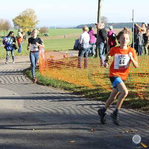 Weisseritztallauf 2017 147