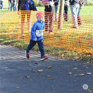 Weisseritztallauf 2017 149