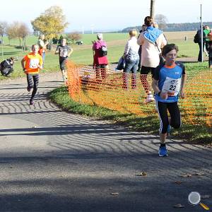 Weisseritztallauf 2017 151