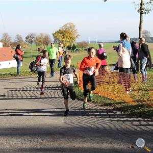 Weisseritztallauf 2017 152