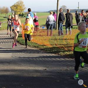 Weisseritztallauf 2017 157