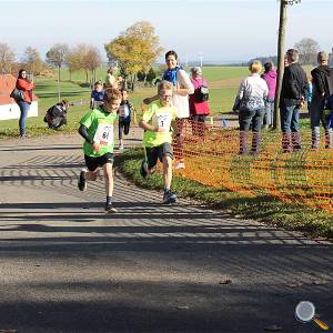 Weisseritztallauf 2017 158