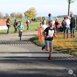 Weisseritztallauf 2017 161