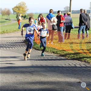 Weisseritztallauf 2017 163