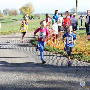 Weisseritztallauf 2017 165