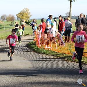 Weisseritztallauf 2017 167