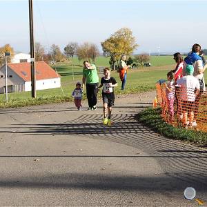 Weisseritztallauf 2017 171