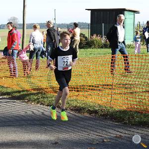 Weisseritztallauf 2017 172