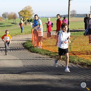 Weisseritztallauf 2017 174