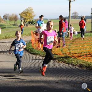 Weisseritztallauf 2017 175