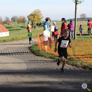 Weisseritztallauf 2017 176