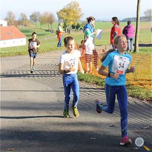 Weisseritztallauf 2017 177