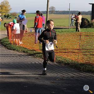 Weisseritztallauf 2017 178